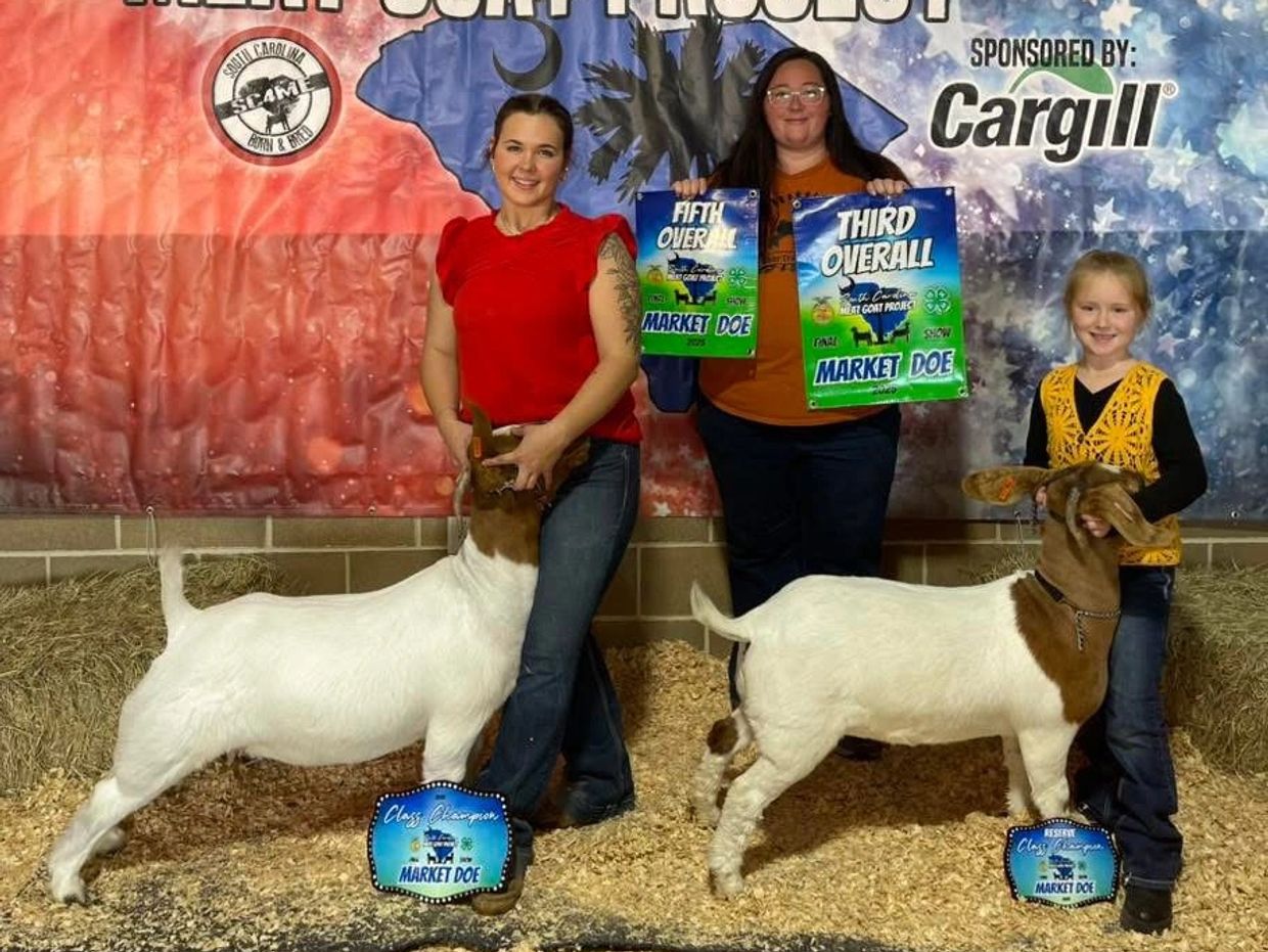 Three people and two goats at a competitive market doe event.