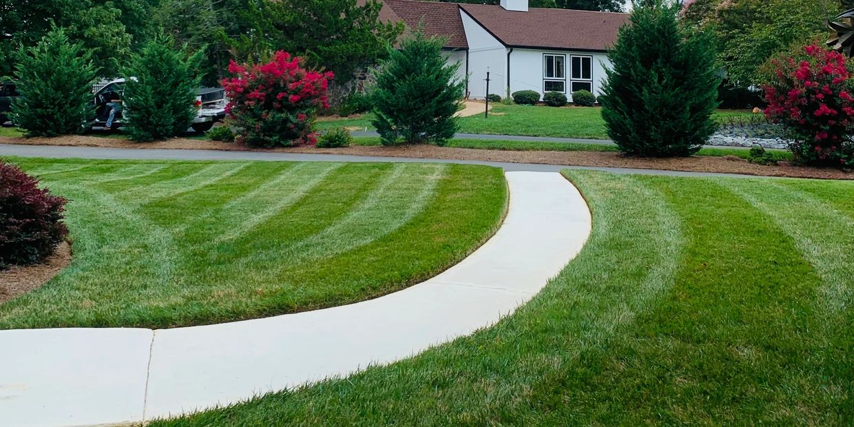 A well-manicured lawn maintained by a top-rated local lawn care service, with curved stripes of gree