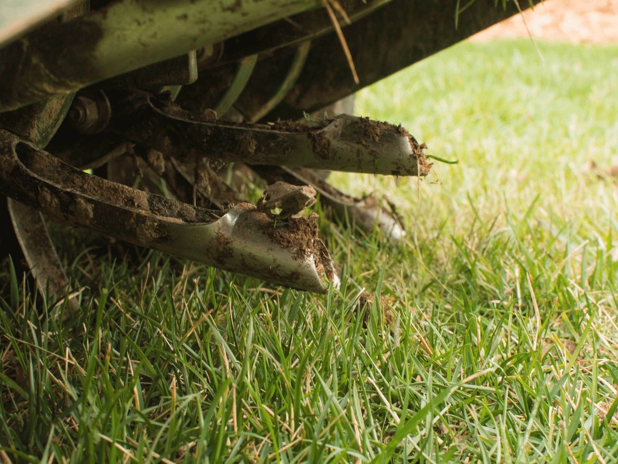 A close-up view of the blades of a lawnmower cutting through green grass.