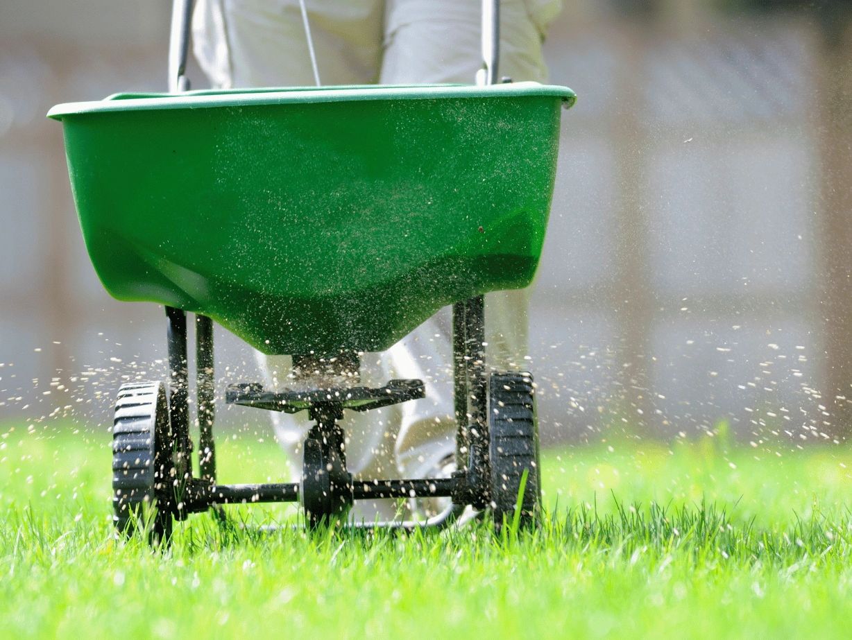 A green wheelbarrow being pushed on a green lawn with small particles flying out of it.