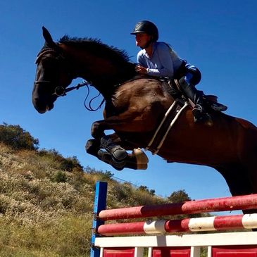 Rider and horse mid-jump over an obstacle in a clear outdoor setting.