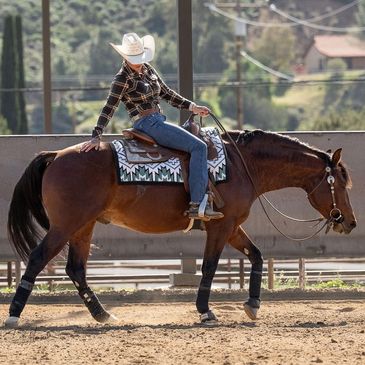 A cowboy in a checkered shirt and white hat rides a brown horse in an arena.