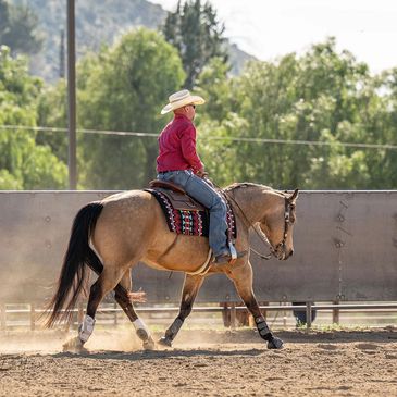A cowboy in a red shirt rides a horse in an outdoor arena.