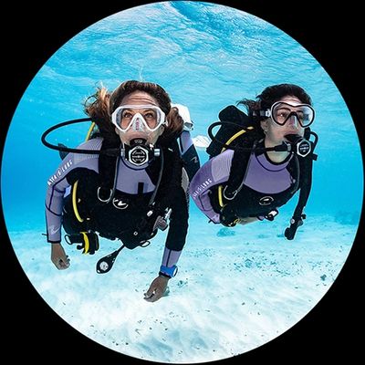 scuba diving tours san diego