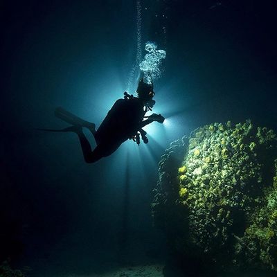 Advanced Open Water Diver Course San Diego, PADI Advanced Open Water Diver Course San Diego