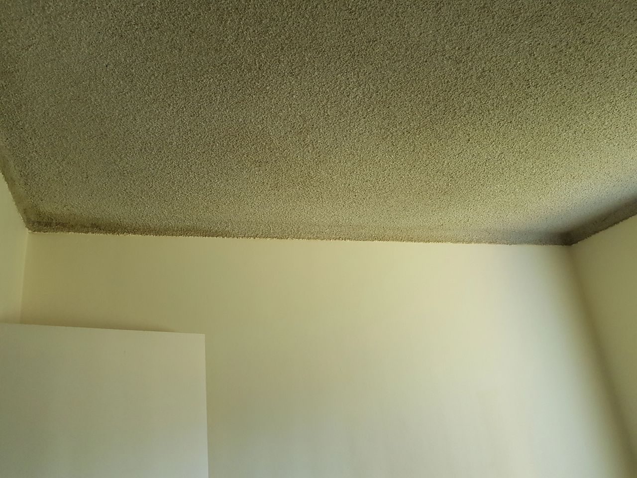 An unpainted vermiculite ceiling in an old apartment unit - Sydney