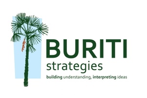Buriti Strategies, LLC
