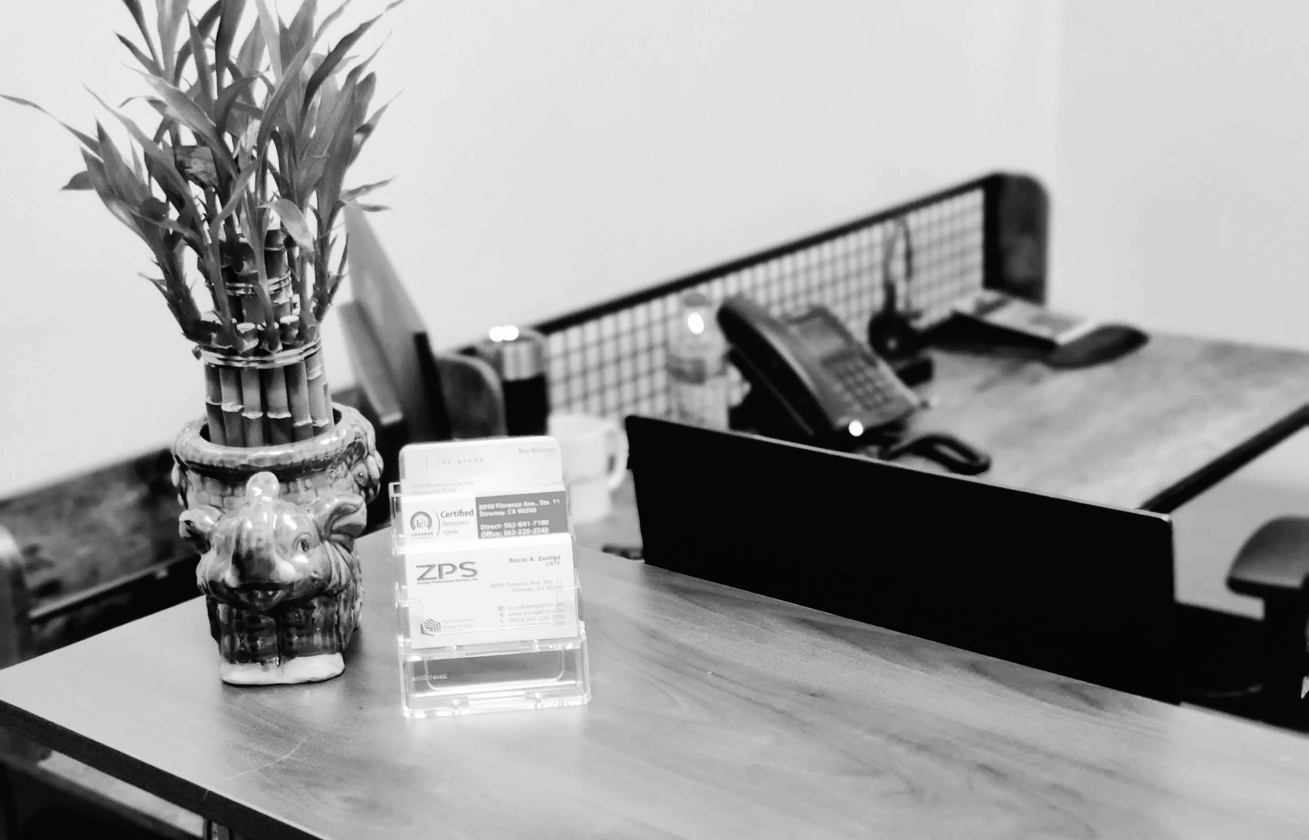 Zuniga Professional Services, Inc Tax Preparation, Tax Preparation