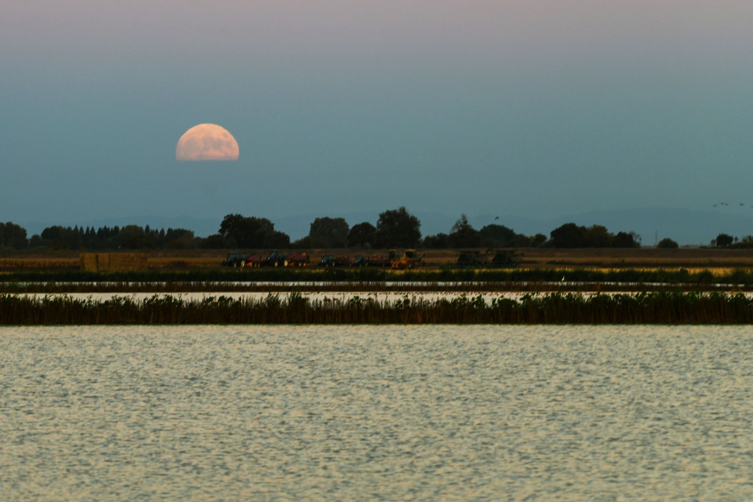 Harvest Moon