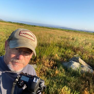 TIM SEAY, Birds of the California Delta, Wildlife photography