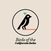 Birds of the California Delta