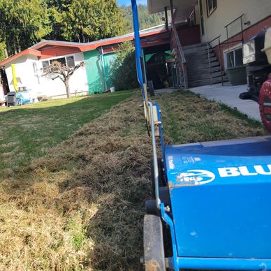 Lawn Dethatching service from Hardy Helps.