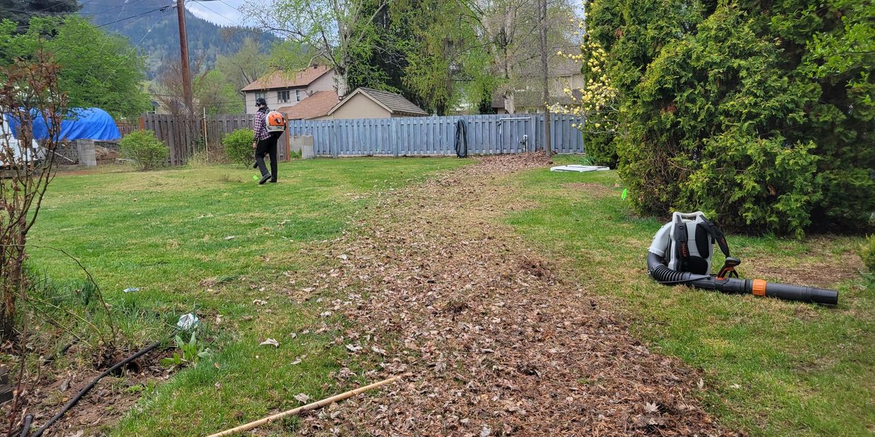 Fall yard clean-up service clearing fallen leaves, pruning plants, and removing debris.