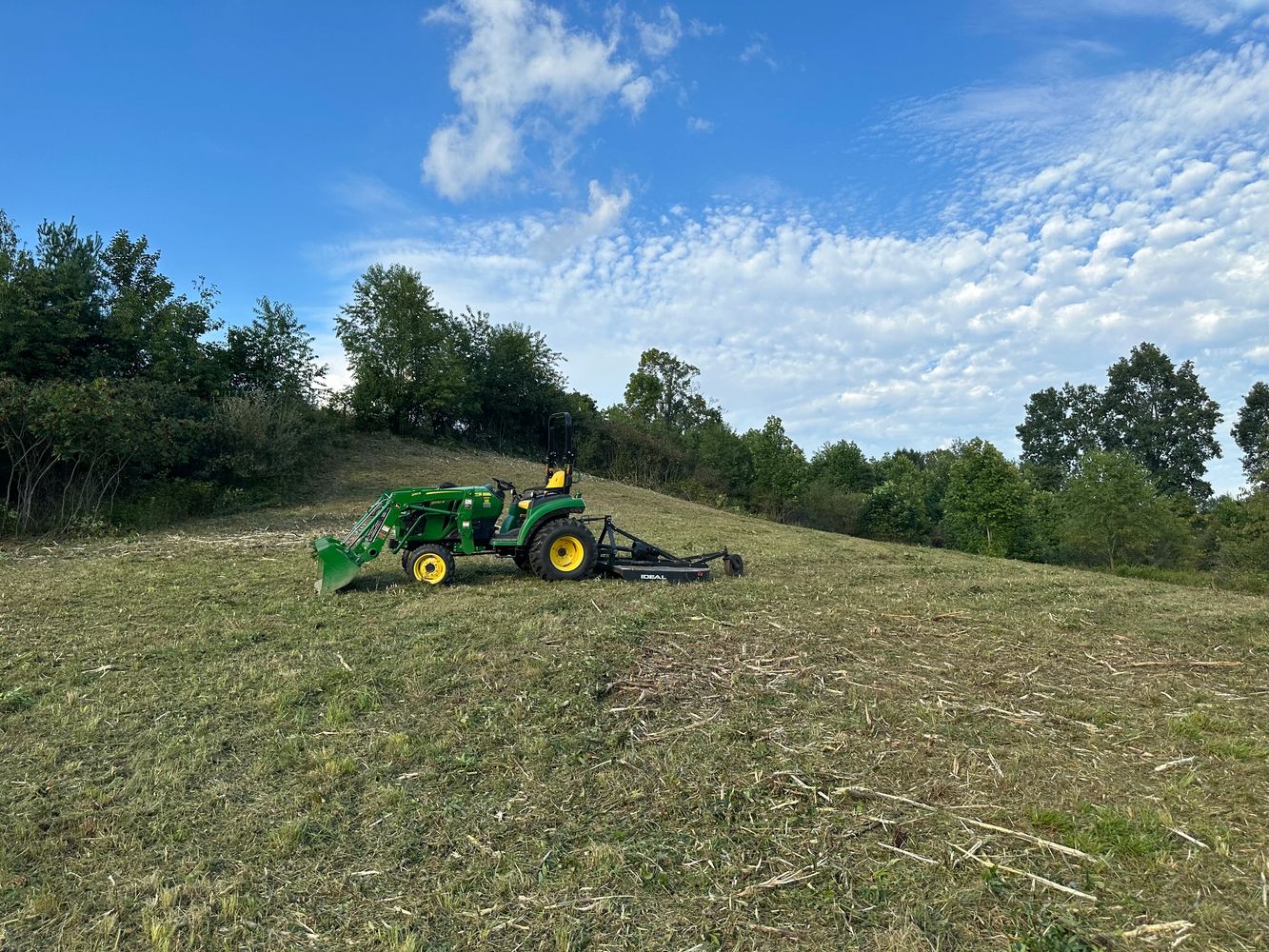 Large brush cutting job.