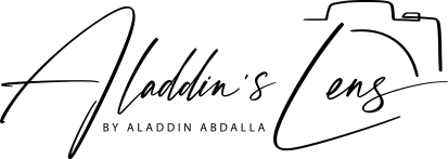 
Aladdin's Lens