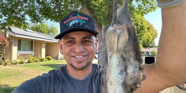 Front view of a person holding the recovered rats