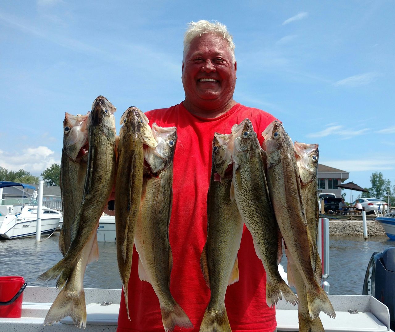 Saginaw bay walleye