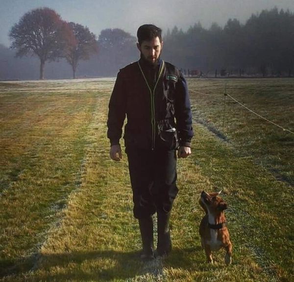 adiestramiento canino