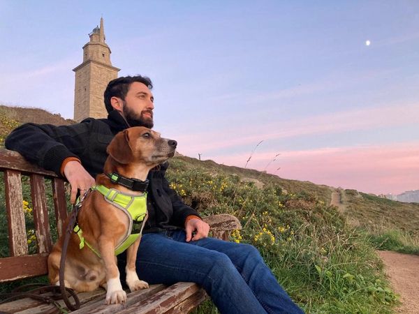 entrenamiento perro torre de hércules