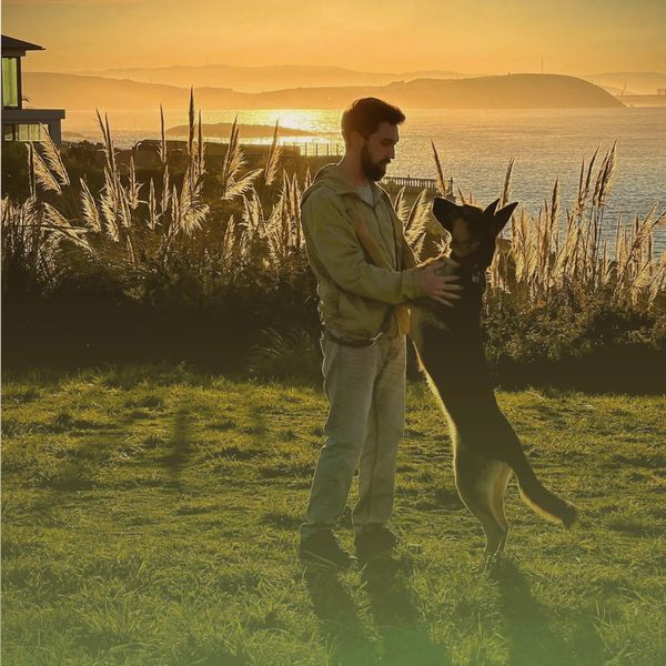 perro a coruña
