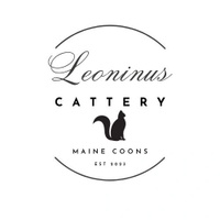 Leoninus Maine Coon Cattery