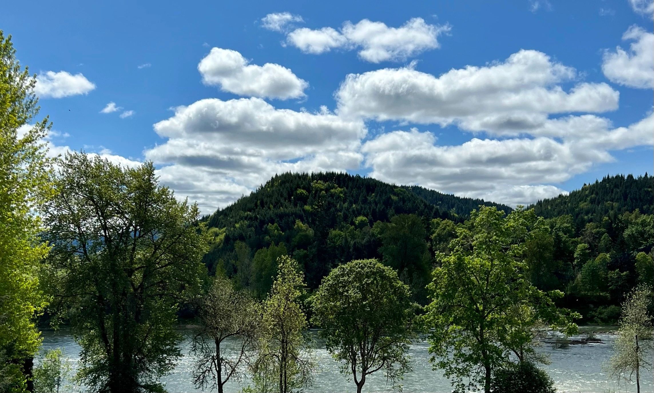 Vacation Rental Home Burke's River View