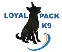 Loyal Pack K9