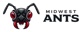 Midwest Ants