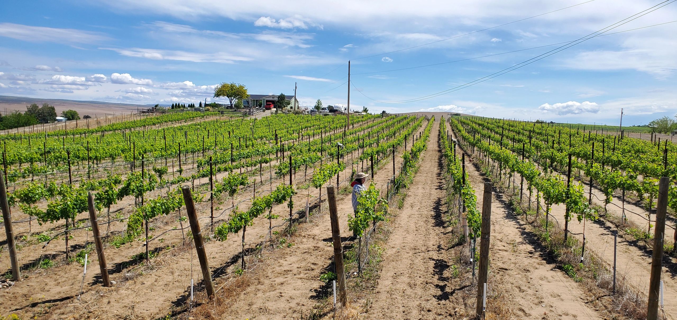 file lock placeholder image