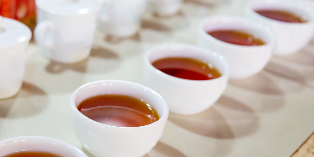 tea tasting conducted with hot tea in mugs near tasting cups