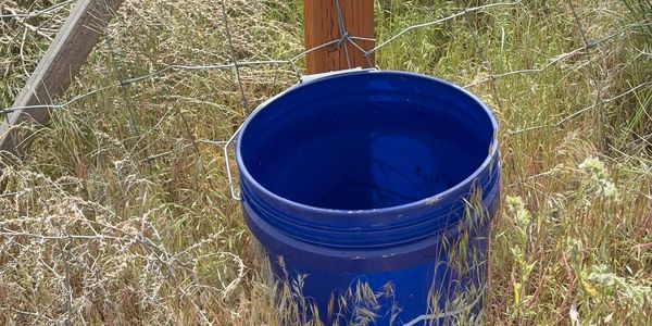 Water Buffet. Aside from fresh clean water, horses have the option of free choice saltwater, ACV wat
