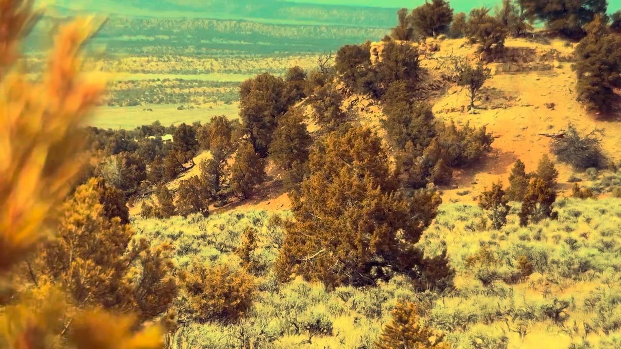 https://img1.wsimg.com/isteam/ip/f8879939-39bf-406f-817f-d0a5febefbbd/thumbnails/thumbnail-5bd890d3-9106-49a8-bdfa-6921ebb405a2.png