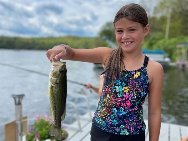 Fishing Beginner 