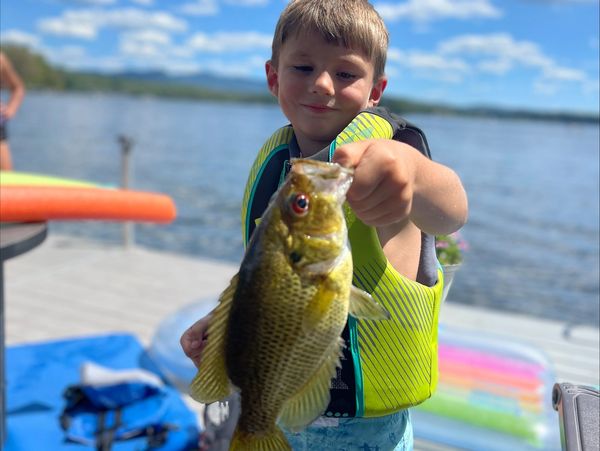 Bass Fisherman