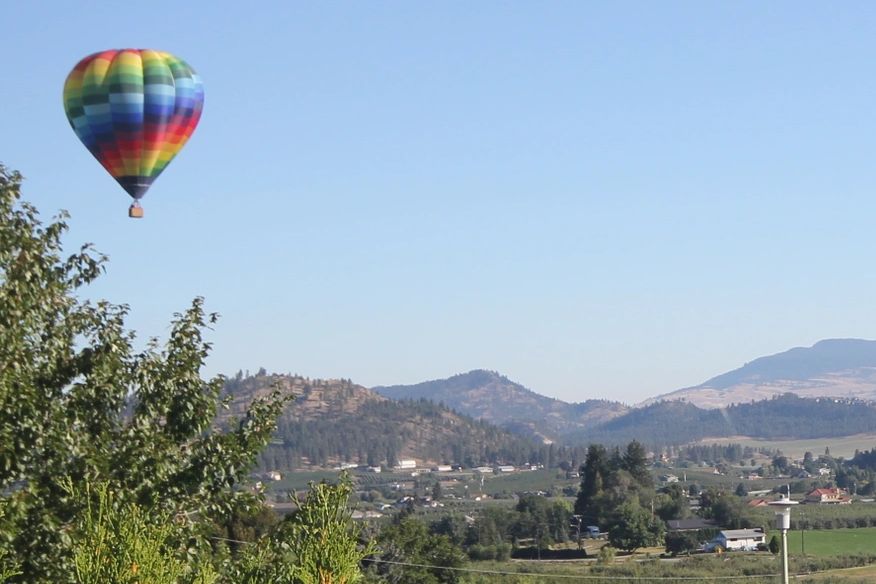 A view from the yard