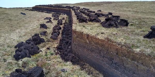 Peat cutting