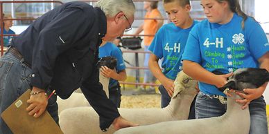 Utah Junior Livestock Show

