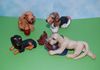 Commissioned pet sculptures