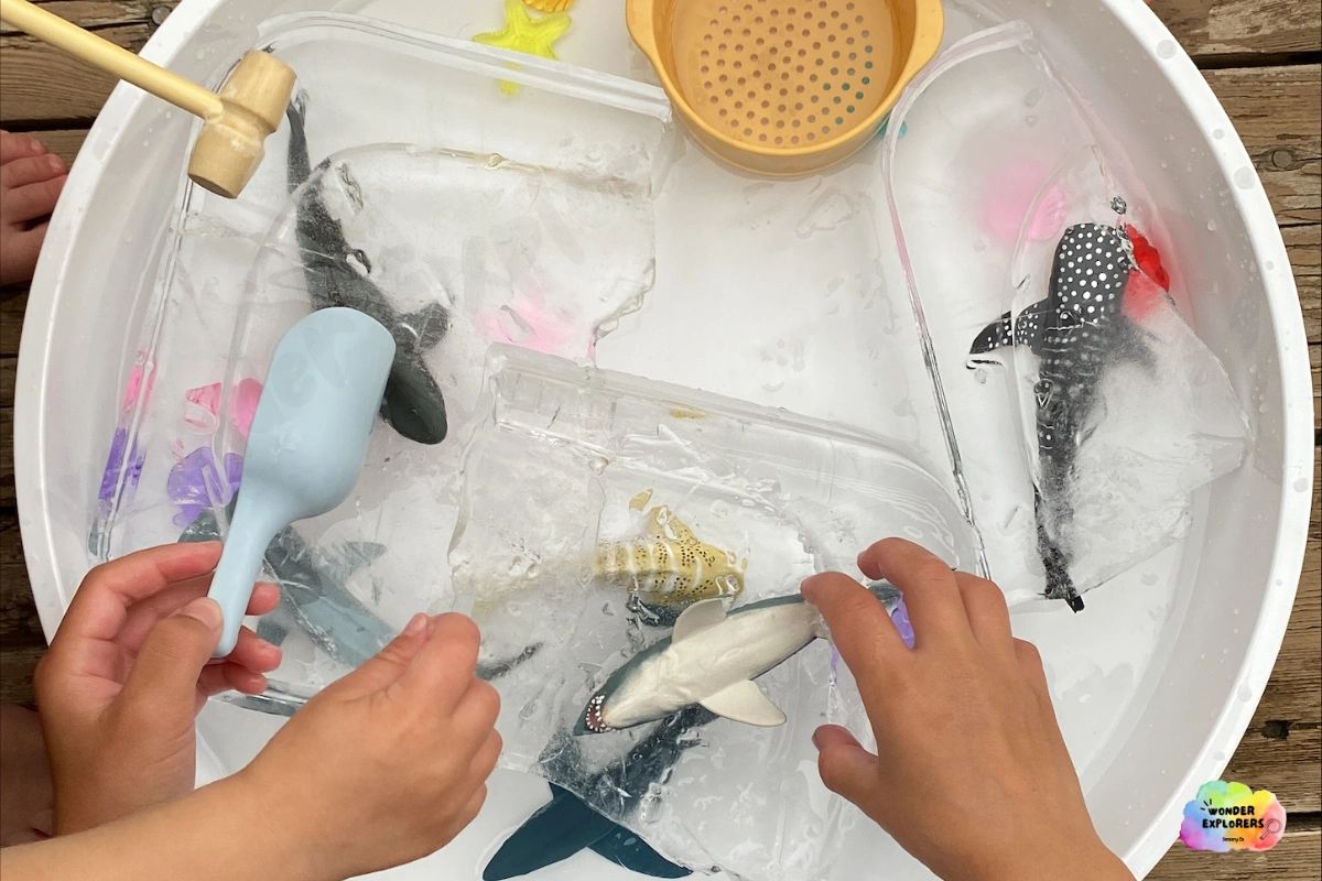 Ice Excavation Sensory Play with Sharks