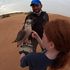 Falcon Safari Dubai