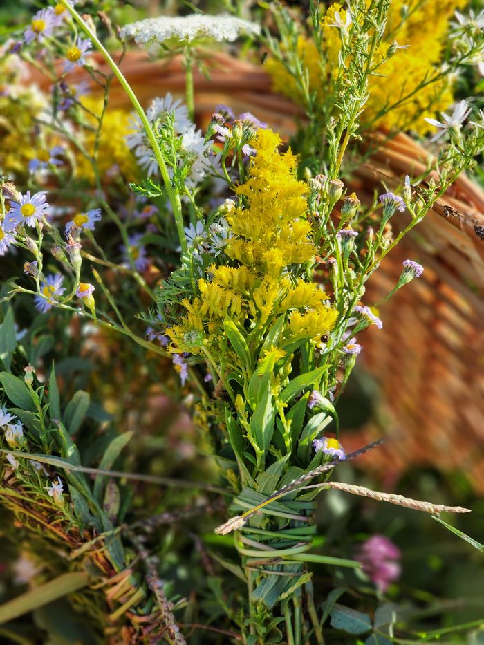 A foraged wildflower bouquet.