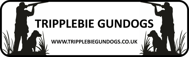 Tripplebie Gundogs