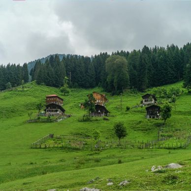 Black Sea Region