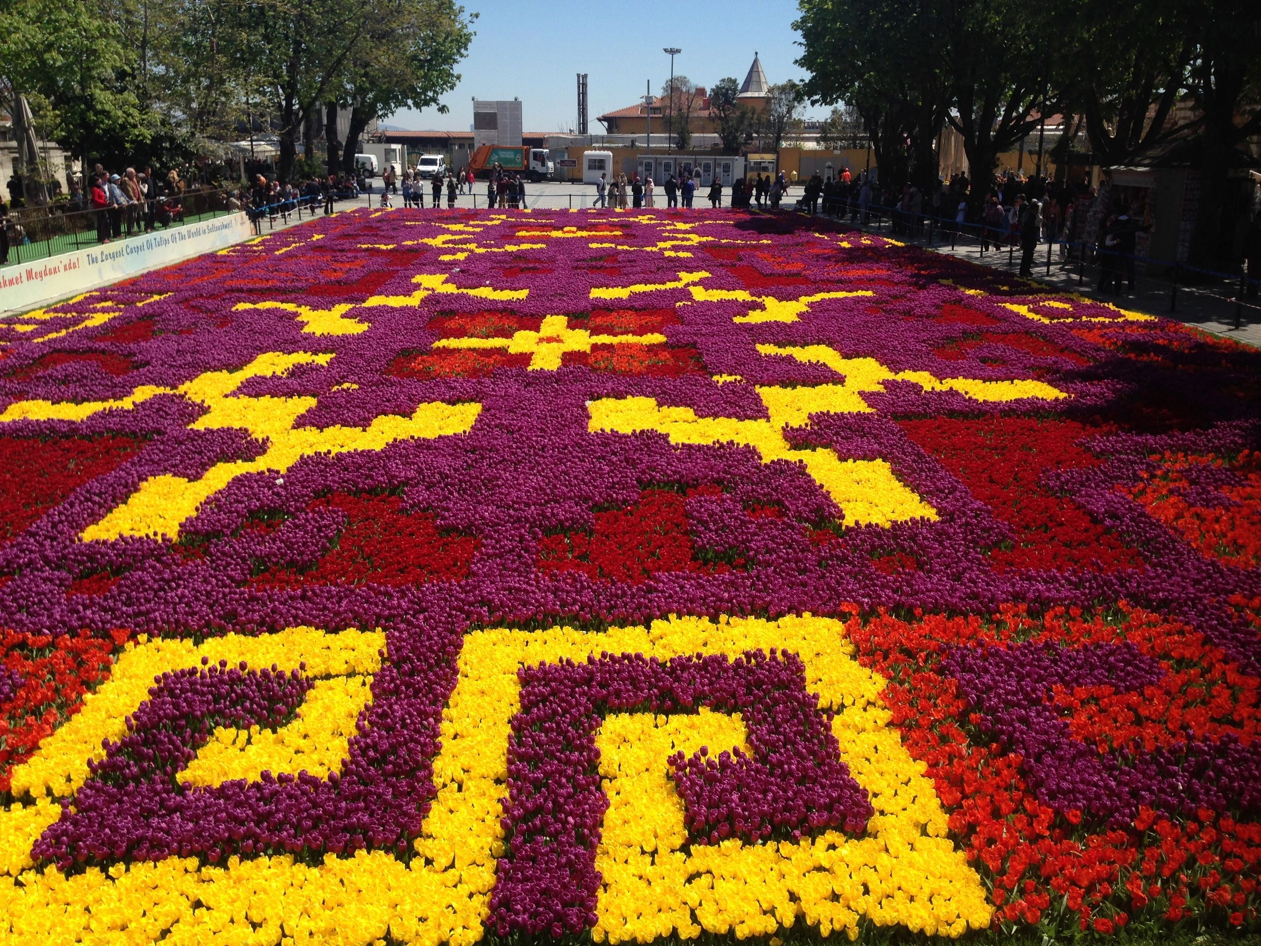 Blooming Splendor: Exploring Istanbul Tulip Festival 2024