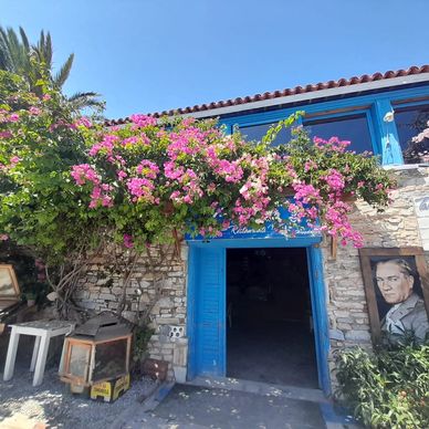Seafood lunch at Karina Village by the Aegean coast