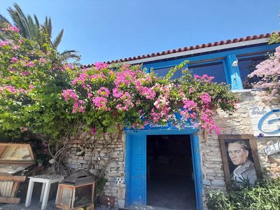 Seafood lunch at Karina Village by the Aegean coast