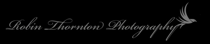 robinthorntonphotography