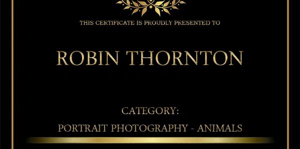Award certificate for Robin Thornton in animal portrait photography.
