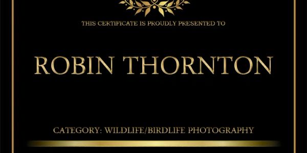 Certificate for Robin Thornton in wildlife photography.