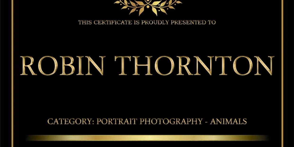 Certificate awarded to Robin Thornton for portrait photography of animals.